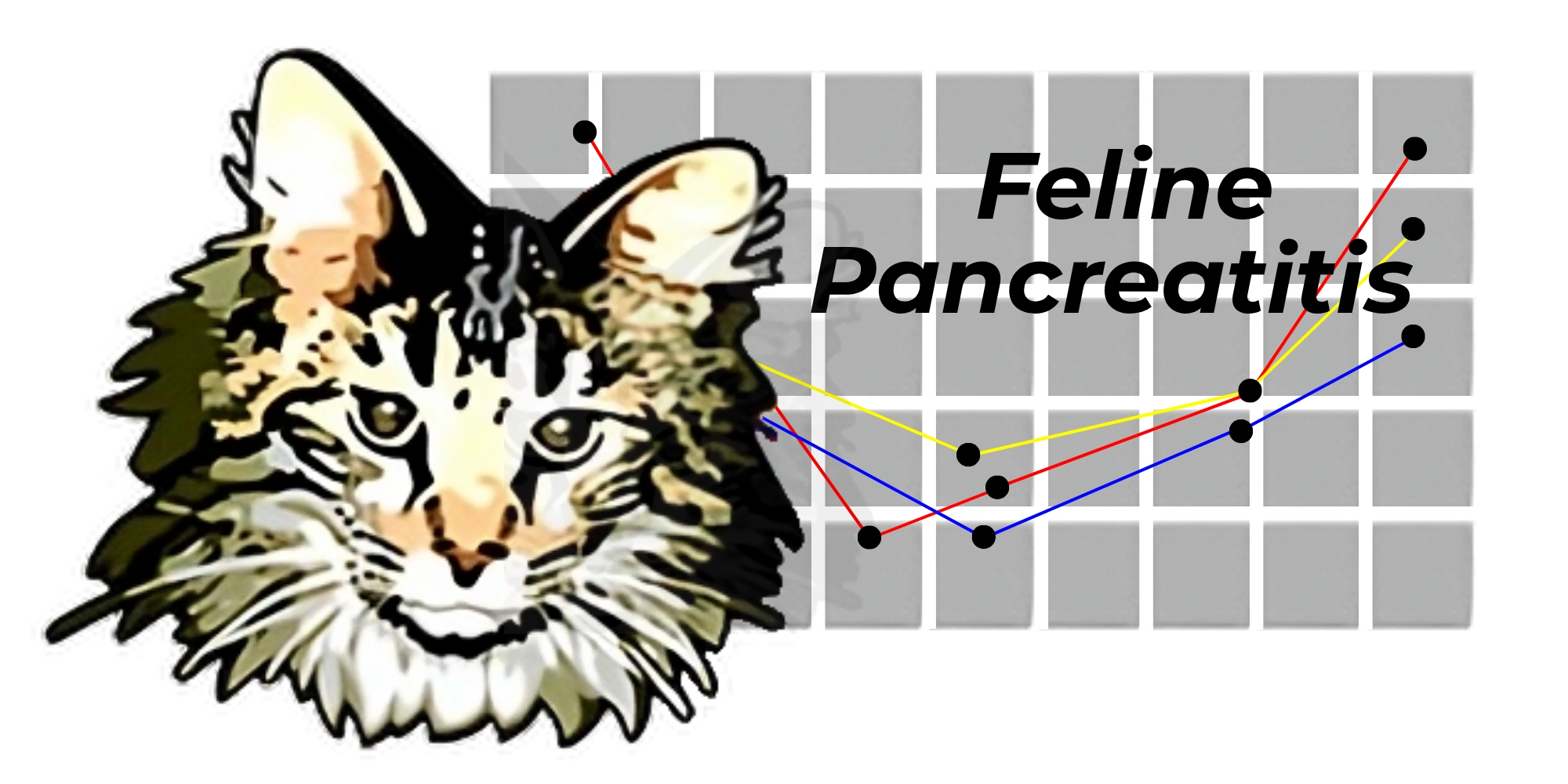 Feline Pancreatitis Message Board - FPMB